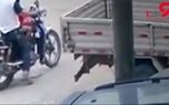 لحظه دزدیده شدن یک کودک خیابانی توسط مرد موتورسوار + تصویر 